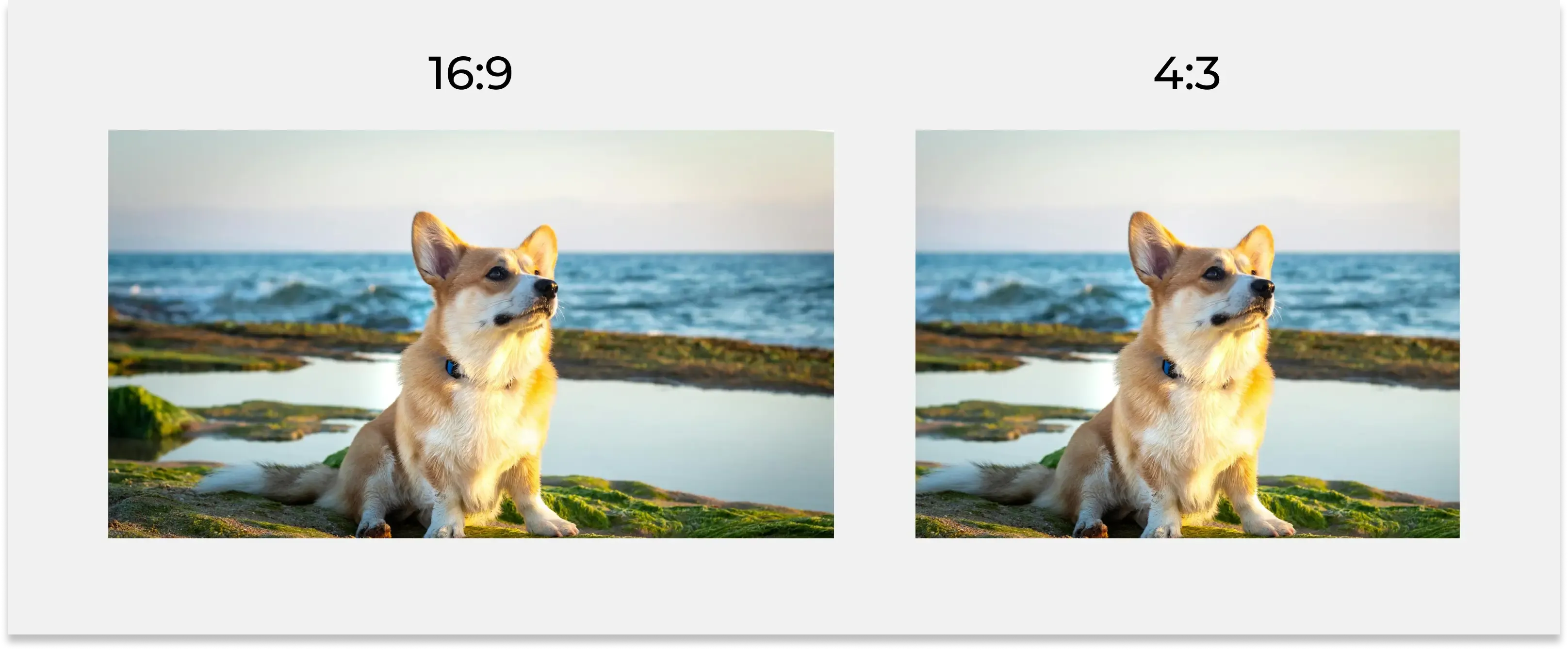 A Pembroke Welsh Corgi dog sits on the sand, facing the ocean. The dog has short paws, long ears and the breed's characteristic reddish coat. In the background you can see waves crashing on the shore and a blue sky. The photo is shown in two proportions. On the right is 4:3, on the left 16:9.